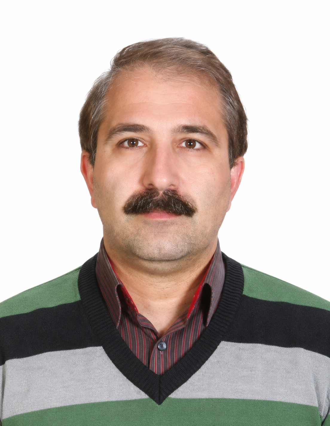 میرمسعود فاطمی